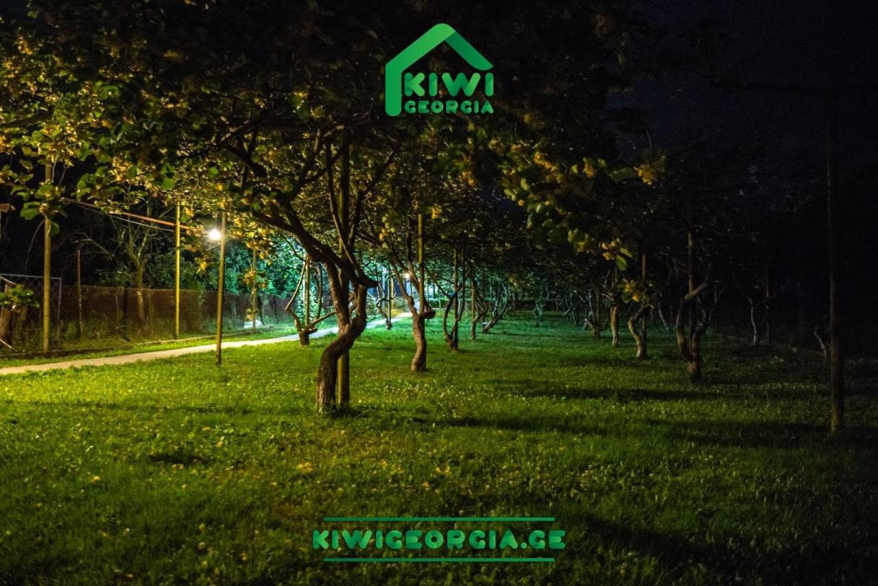 הוילה קובולטי Kiwi Georgia מראה חיצוני תמונה